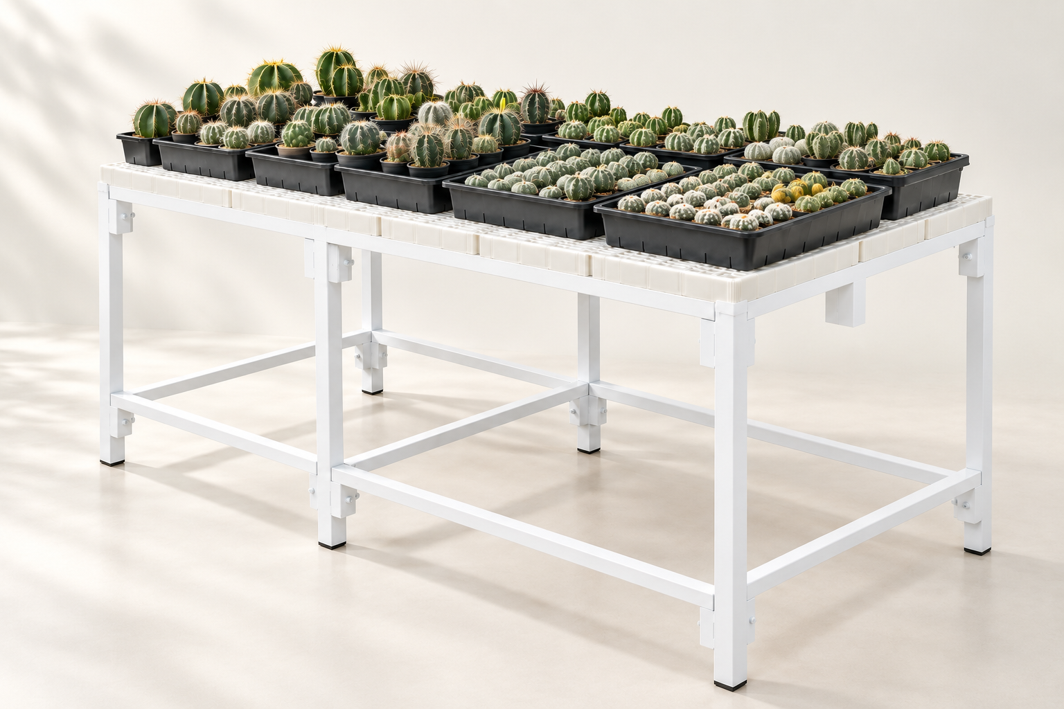 Cactus Bench System