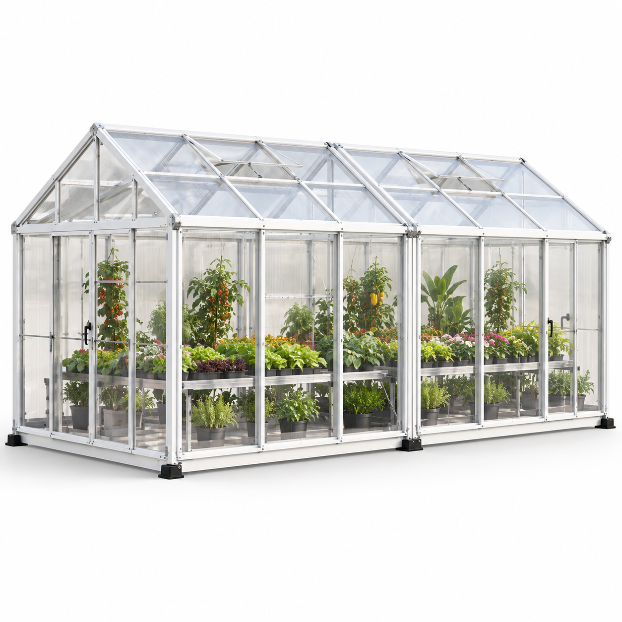Double Module modular greenhouse concept