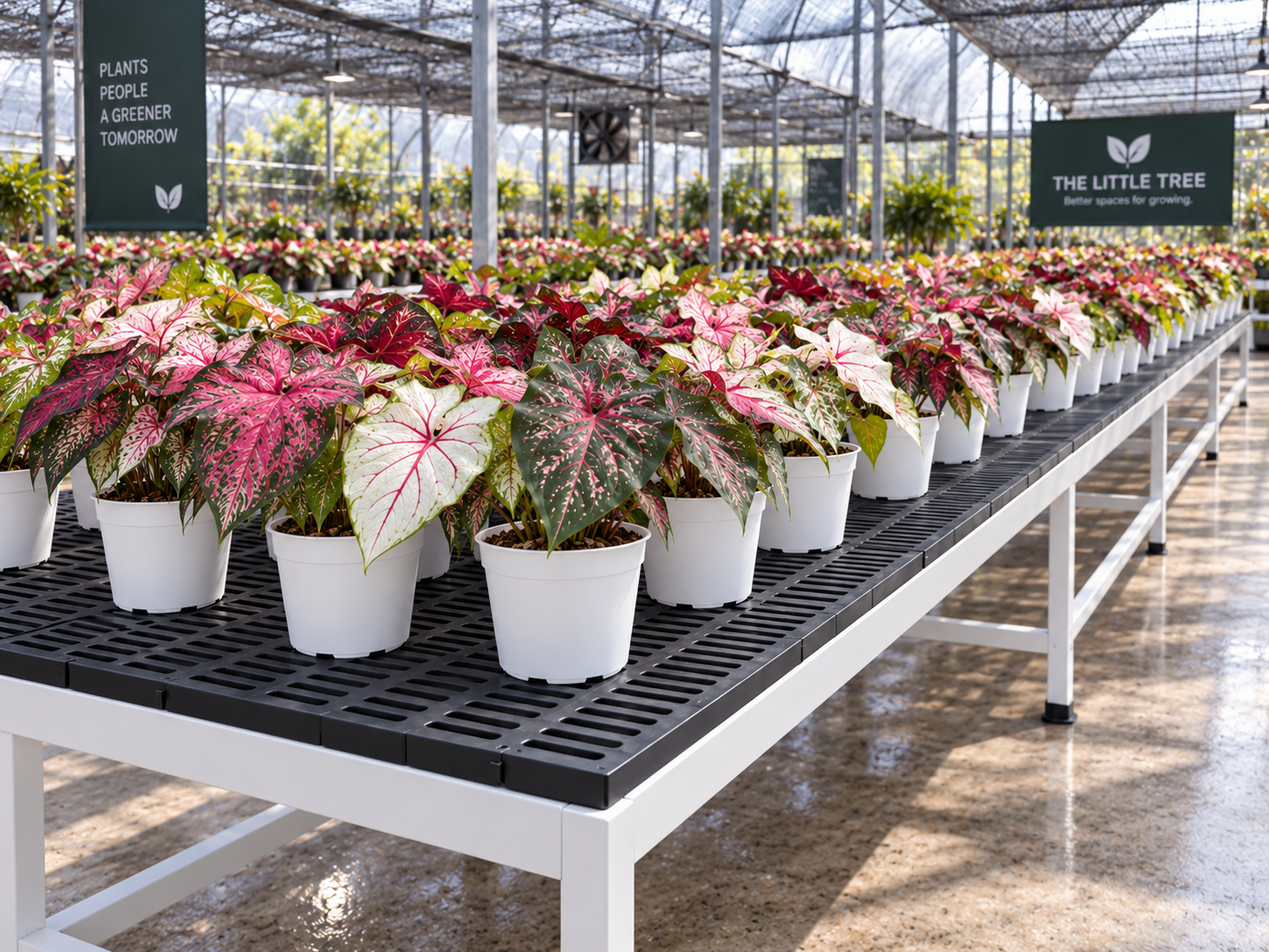 Plant Nursery application